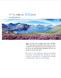 2008 Brochure(Chinese)