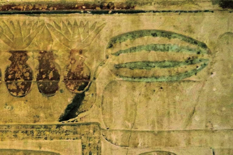 Watermelon depicted in Egyptian mural