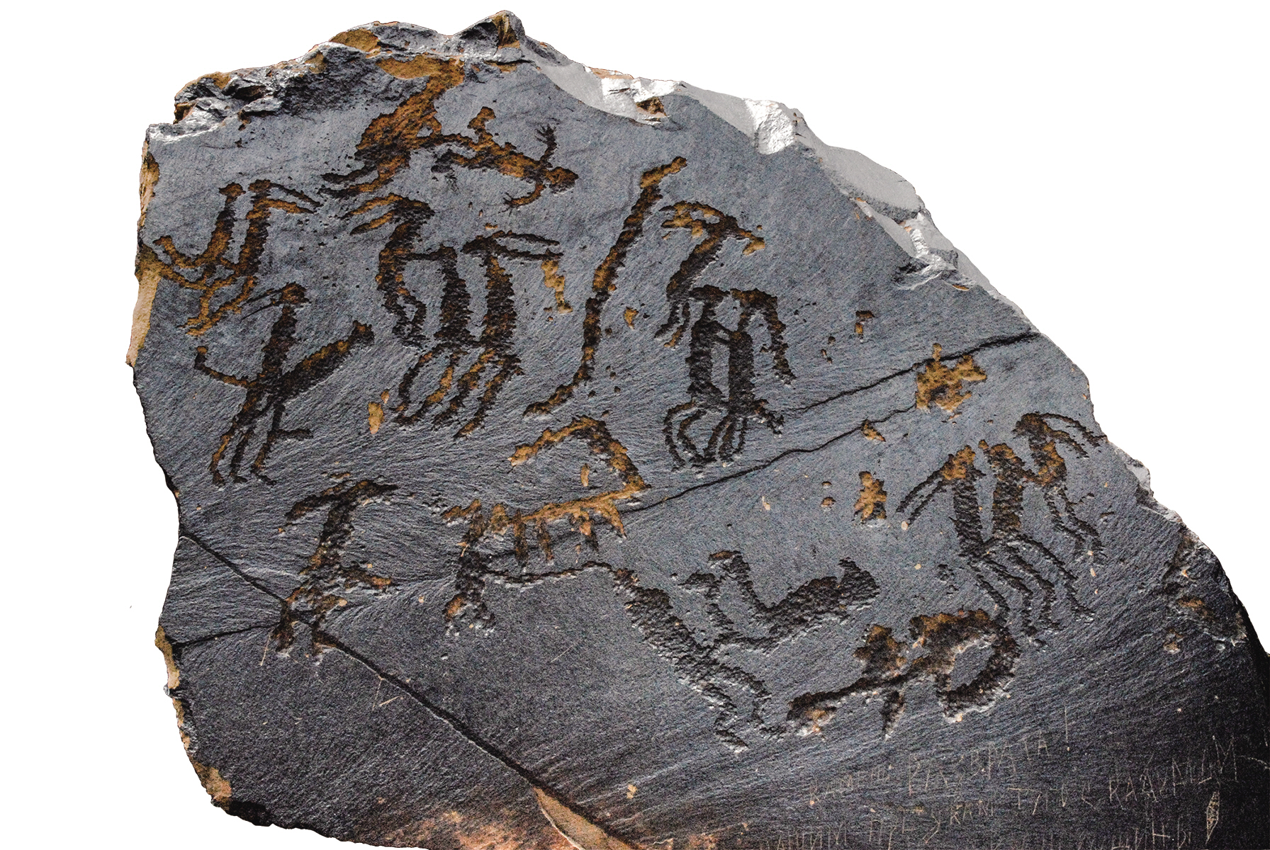 Eroticism in Prehistoric Art