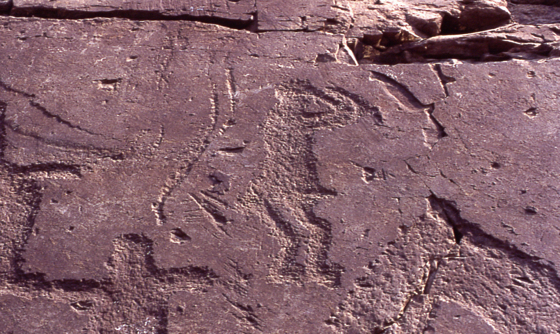 petroglyphs in daegok-ri 1. a magician 2. picture of whale 3. drawing of '2'