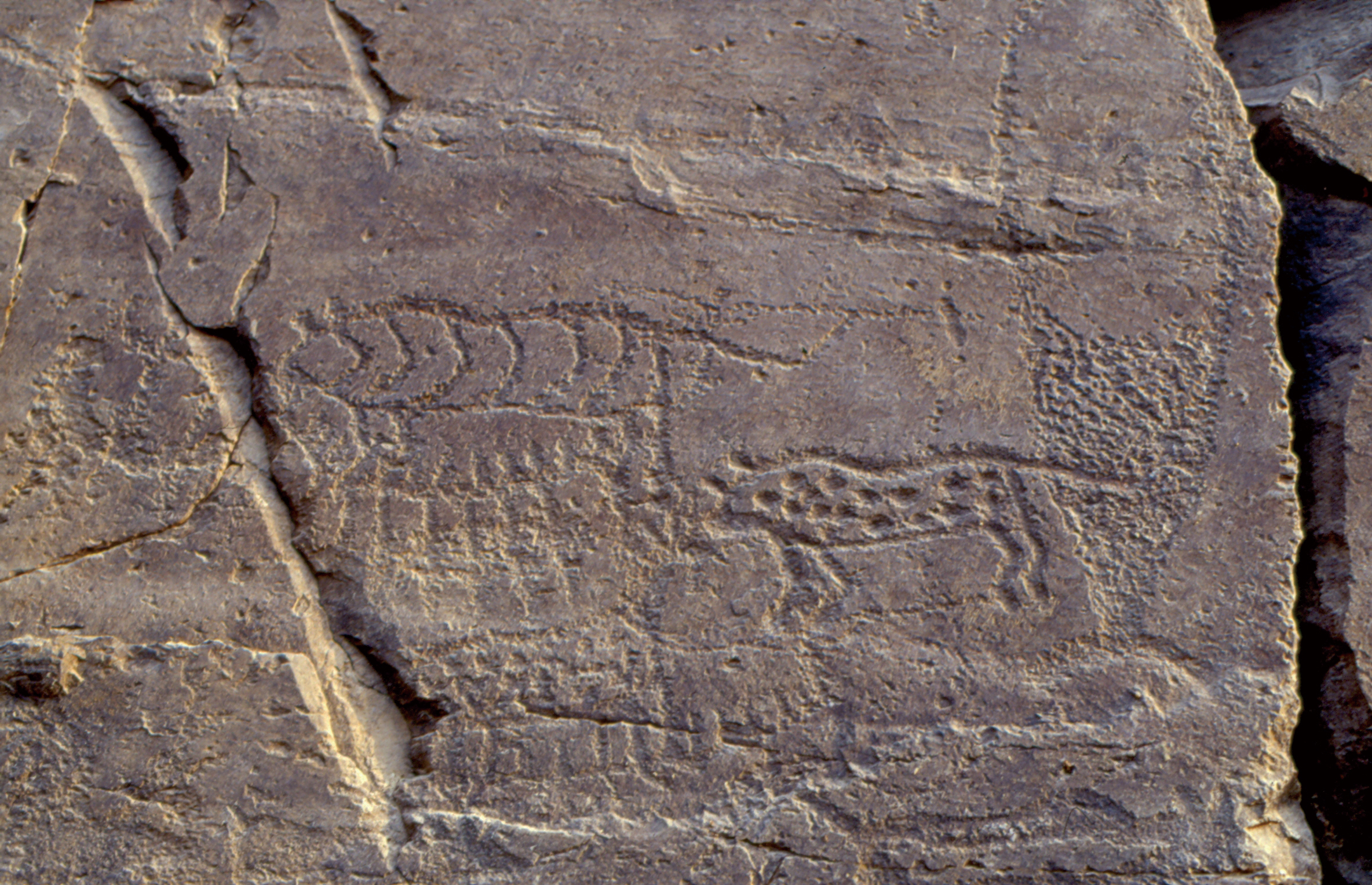 petroglyphs in daegok-ri 1. a magician 2. picture of whale 3. drawing of '2'