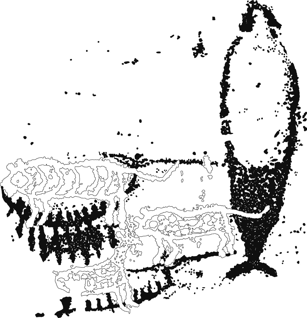 petroglyphs in daegok-ri 1. a magician 2. picture of whale 3. drawing of '2'