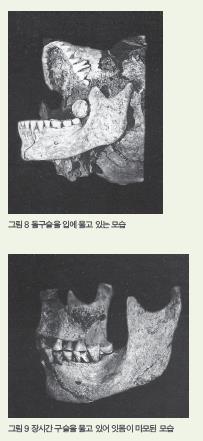 평생 돌구슬을 입에 물고 잇몸을 갈고